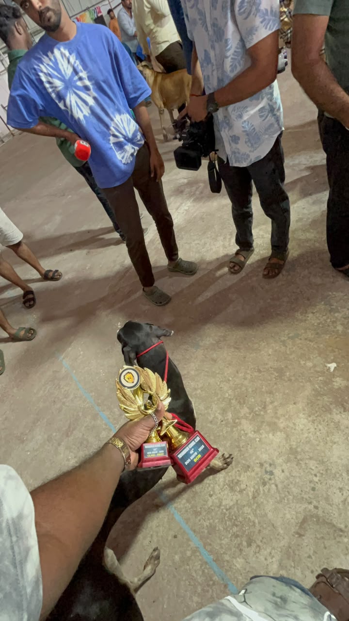 Results Moment